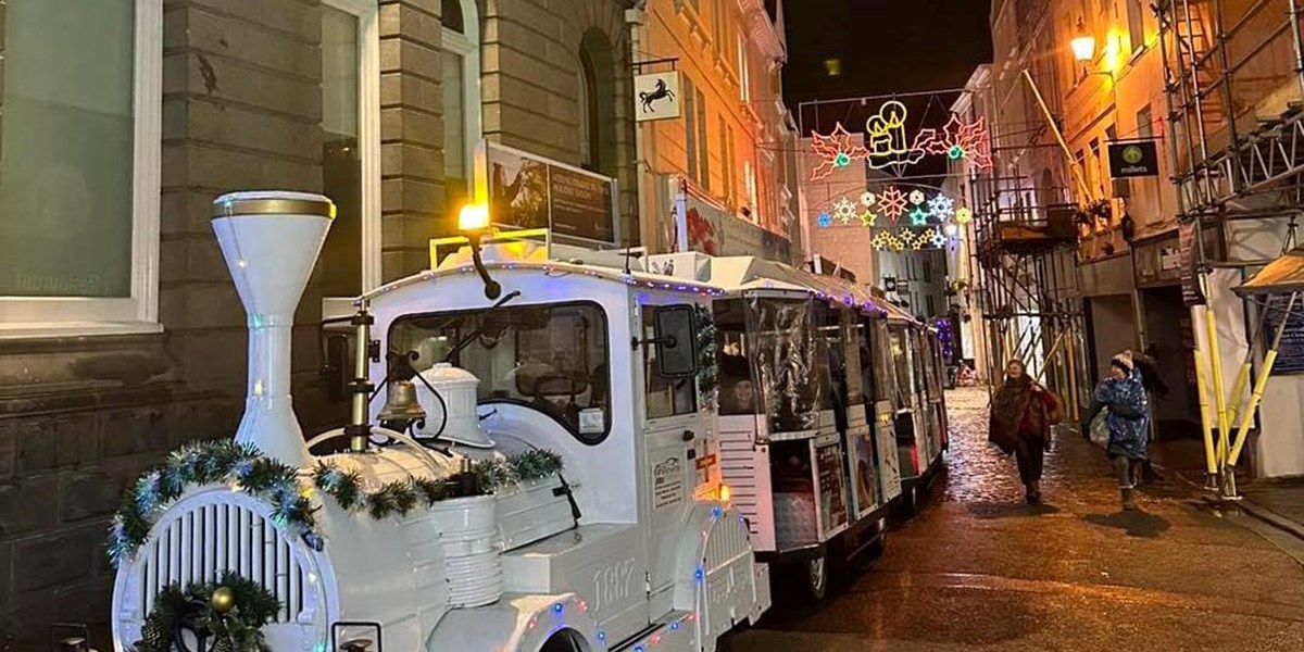 Petit Train Christmas Lights Tours