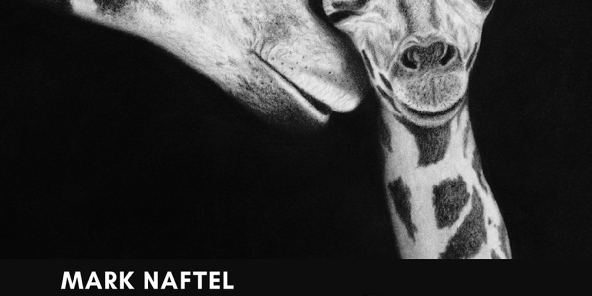 Art in the Park - 'Nature in Focus' by Mark Naftel