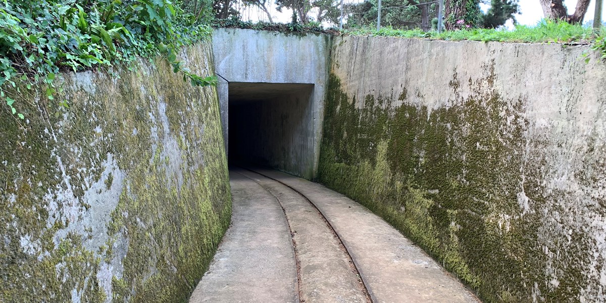 Journey into history – A Guided Tour of Batterie Mirus