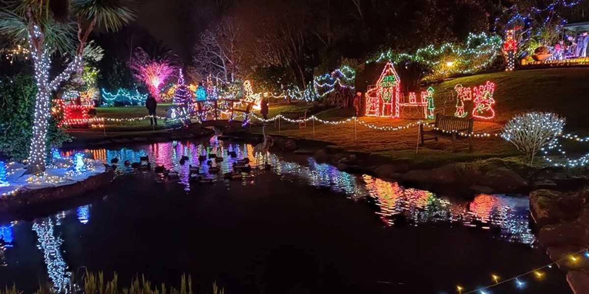 Specsavers Winter Wonderland