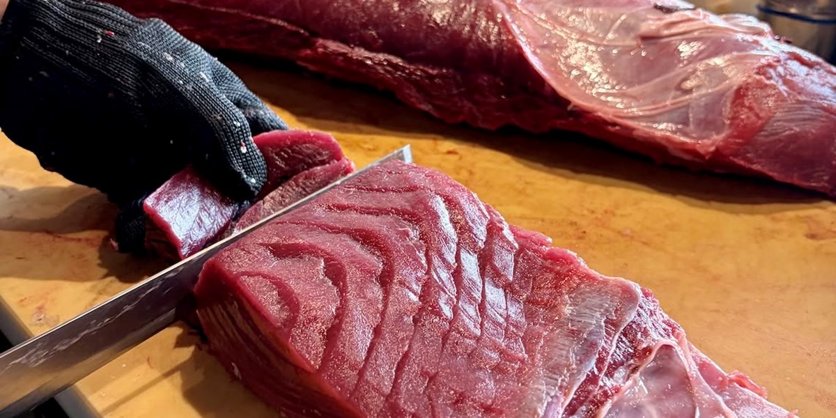 Fukku’s First Tuna Cutting