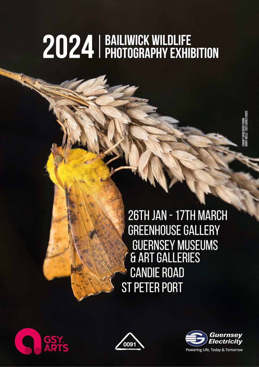 2024 Bailiwick Wildlife Photography Exhibition Visit Guernsey