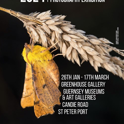 2024 Bailiwick Wildlife Photography Exhibition